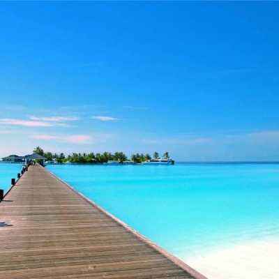 大四喜手机app下载截图